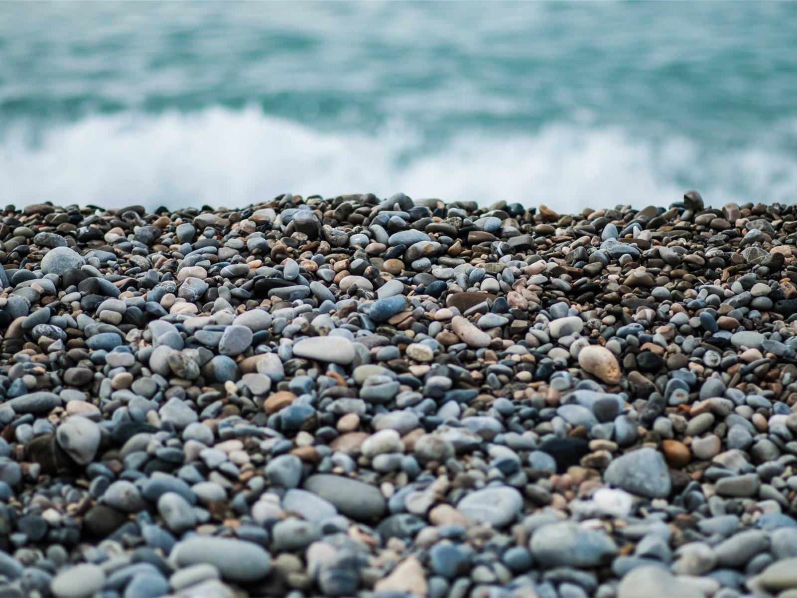 Lorem Ipsum Editorial
